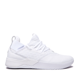 Mens Supra Low Top Shoes TITANIUM White/white | AU-23706